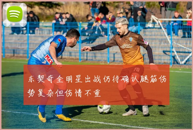 东契奇全明星出战仍待确认腿筋伤势复杂但伤情不重