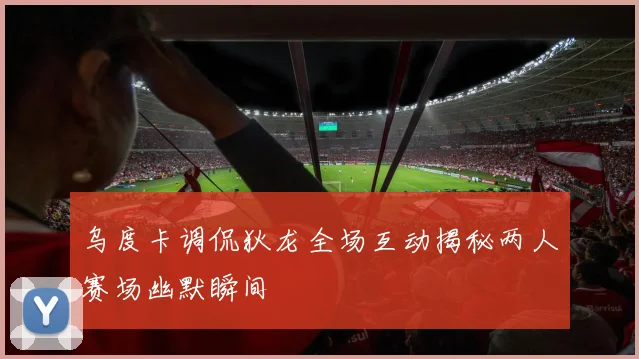 乌度卡调侃狄龙全场互动揭秘两人赛场幽默瞬间