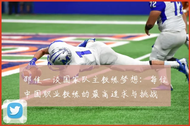 邵佳一谈国家队主教练梦想：每位中国职业教练的最高追求与挑战